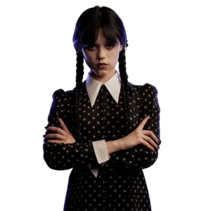 تم تولد ونزدی